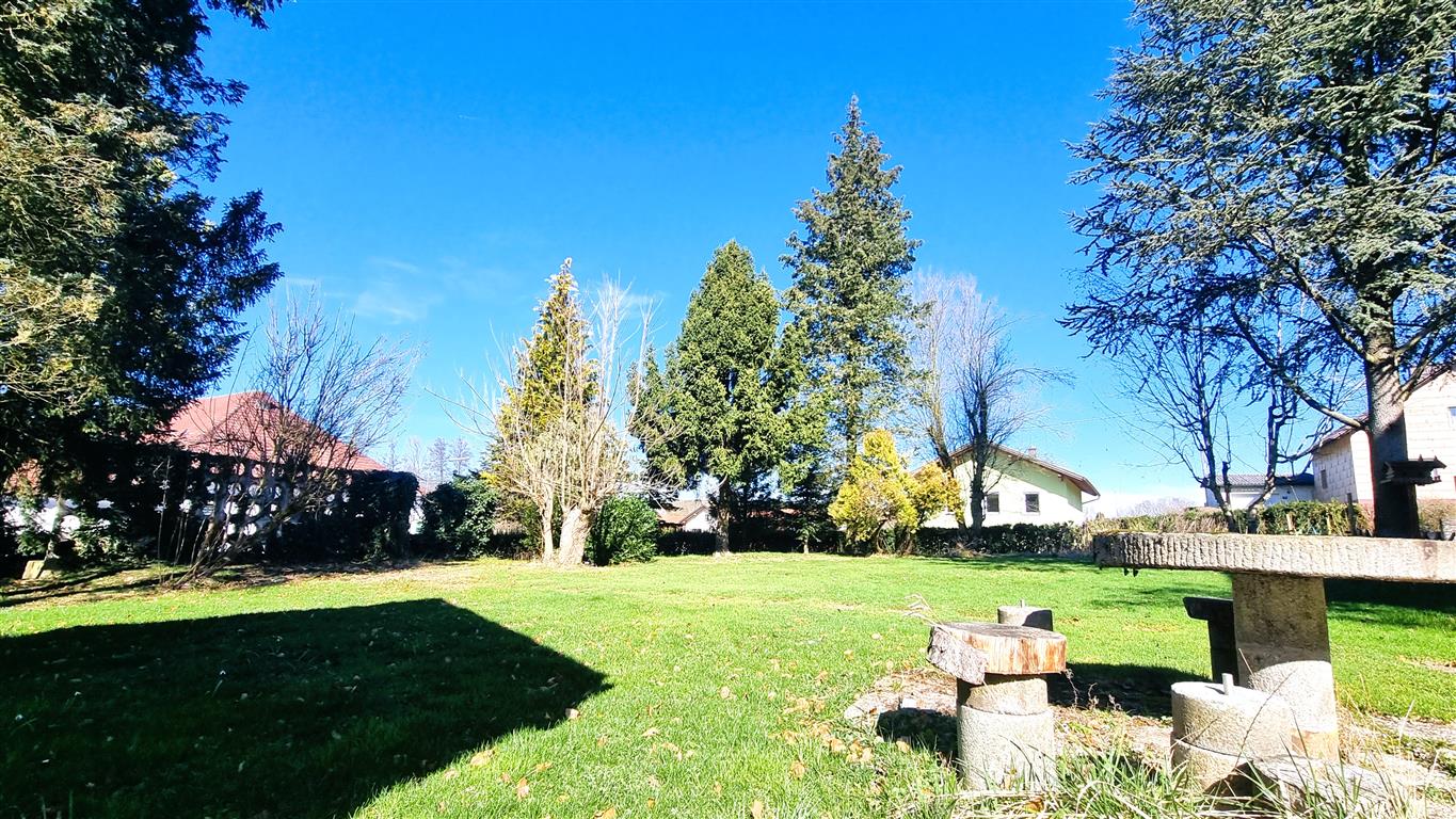 20240309_134253 (Mittel)