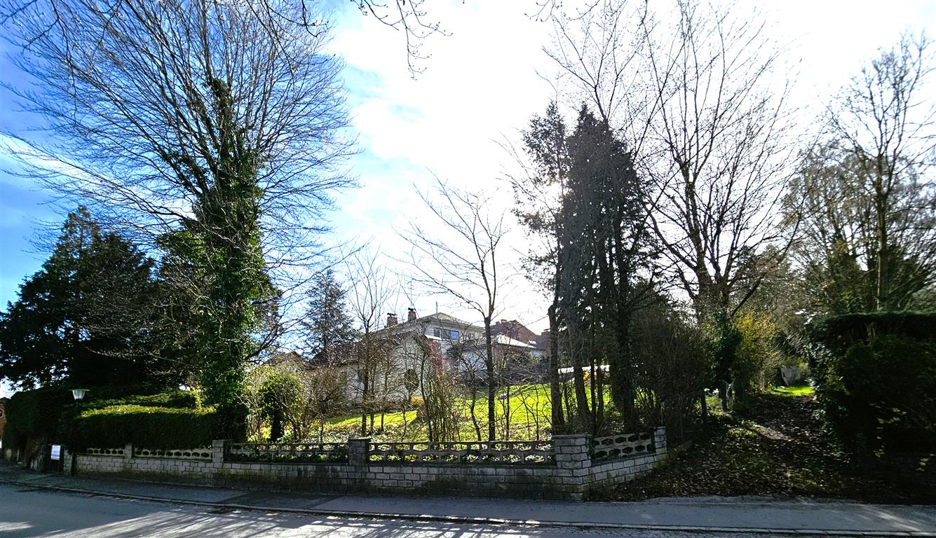 20240326_090213 (Mittel)
