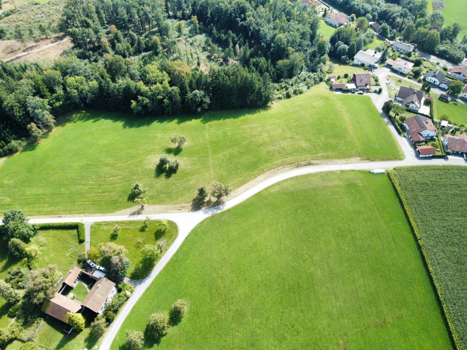 WhatsApp Image 2025-12-12 at 17.16.41